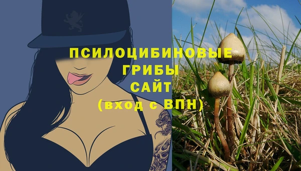 тгк Протвино