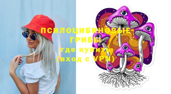 гашик Алзамай