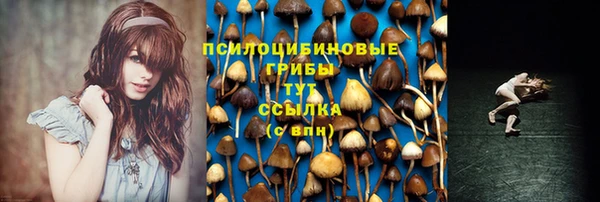спиды Алексин