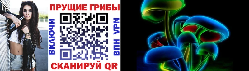 Галлюциногенные грибы мухоморы ОМГ ОМГ зеркало Стародуб